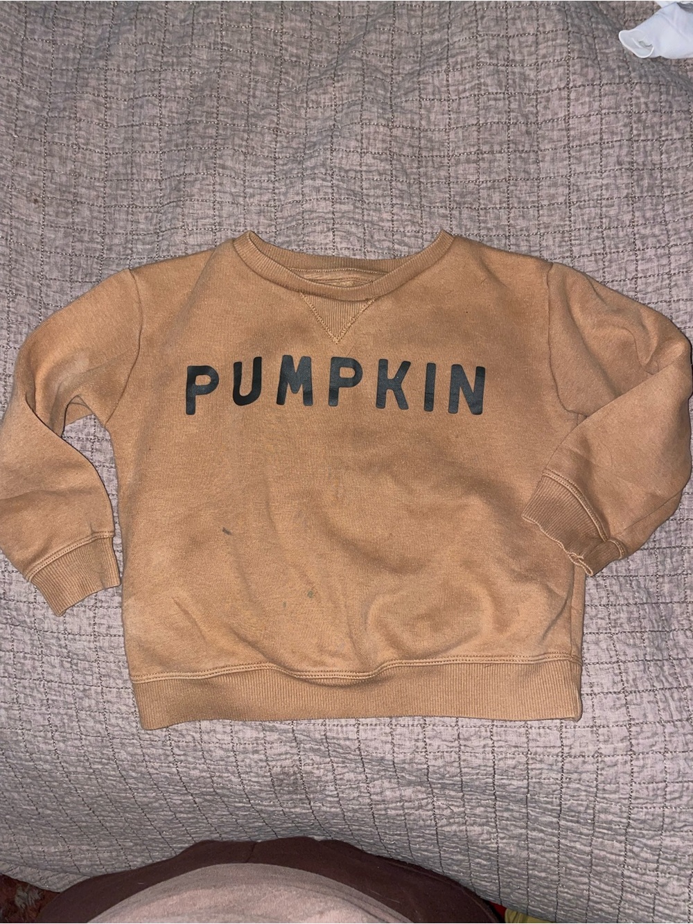 Pumpkin Graphic Sweatshirt - Rust Brown